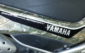 YAMAHA SEROW 250 Gen.2 DG17J