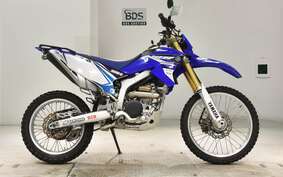 YAMAHA WR250R DG15J