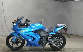 KAWASAKI NINJA 250R 不明