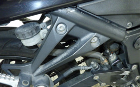 KAWASAKI NINJA 250R EX250K