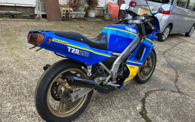 YAMAHA TZR250 1KT