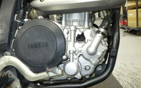 YAMAHA WR250X DG15J