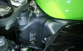 KAWASAKI NINJA ZX-6R A 2019 ZX636G