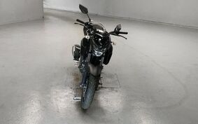 YAMAHA FZ25 不明