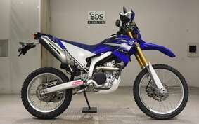 YAMAHA WR250R DG15J