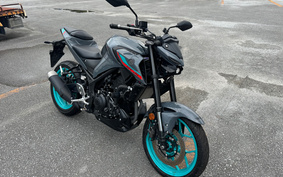 YAMAHA MT-25 RG74J