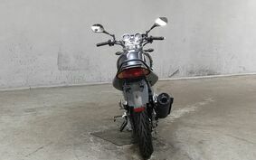 YAMAHA YBR250 PCNL