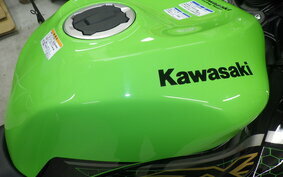 KAWASAKI NINJA ZX-6R A 2020 ZX636G