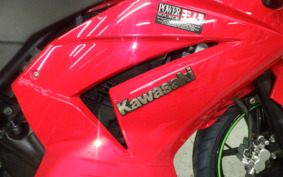 KAWASAKI NINJA 250R EX250K