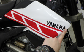 YAMAHA WR250X DG15J