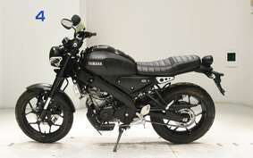 YAMAHA XSR155