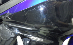 YAMAHA YZF-R25 RG43J