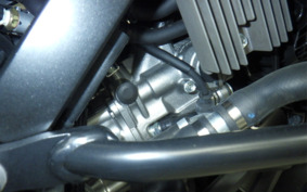 SUZUKI DL650 ( V-Strom 650 ) A 2021 C733A