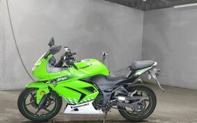 KAWASAKI NINJA 250R 不明