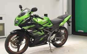 KAWASAKI NINJA150RR KR150P