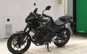 YAMAHA MT-25 A RG43J