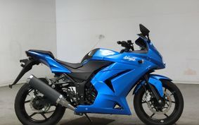 KAWASAKI NINJA 250R 2010 EX250K