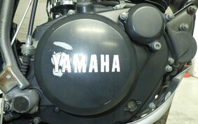 YAMAHA TW225 DG09J