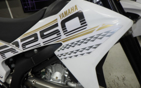 YAMAHA WR250X DG15J