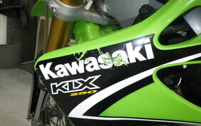 KAWASAKI KLX250 LX250E