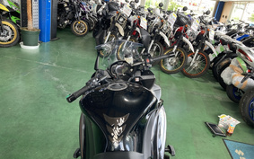 KAWASAKI NINJA 2019 ZXT00W