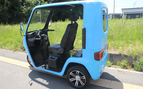 OTHER EV TUKTUK