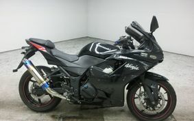 KAWASAKI NINJA 250R 2010 EX250K