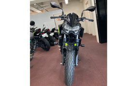 KAWASAKI Z250 EX250P