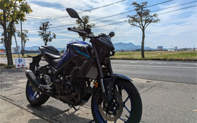 YAMAHA MT-03 2024 RH21J