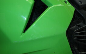 KAWASAKI NINJA 250R EX250K