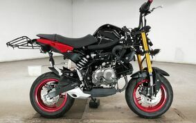 KAWASAKI Z125 PRO BR125H