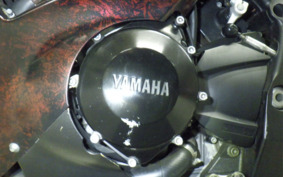 YAMAHA YZF-R1 2002 RN09