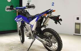 YAMAHA WR250R DG15J