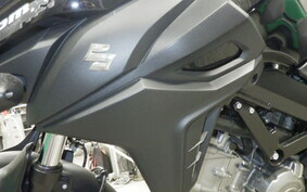 SUZUKI DL650 ( V-Strom 650 ) A 2020 C733A