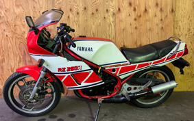 YAMAHA RZ250RR 29L