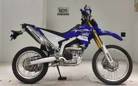 YAMAHA WR250R DG15J