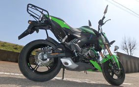 KAWASAKI Z125 PRO BR125H