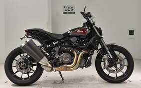 INDIAN FTR1200 2019