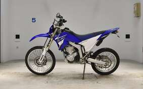 YAMAHA WR250R DG15J