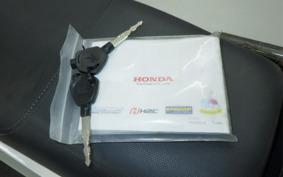 HONDA ZOOMER-X