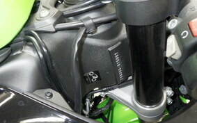 KAWASAKI NINJA ZX-6R A 2021 ZX636G