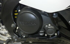 YAMAHA YZF-R15 1CK0