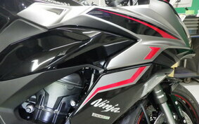 KAWASAKI NINJA 1000 SX 2024 ZXT02K