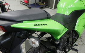 KAWASAKI NINJA 250R EX250K