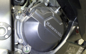 KAWASAKI NINJA 250 EX250L