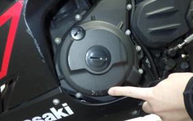 KAWASAKI NINJA 250 EX250P