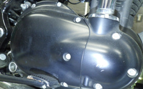 KAWASAKI W800 STREET 2022 EJ800E