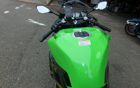 KAWASAKI NINJA ZX-6R 2020 ZX636G