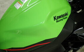 KAWASAKI NINJA 400 2021 EX400G