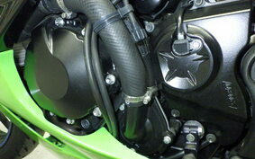 KAWASAKI NINJA ZX-6R 2011